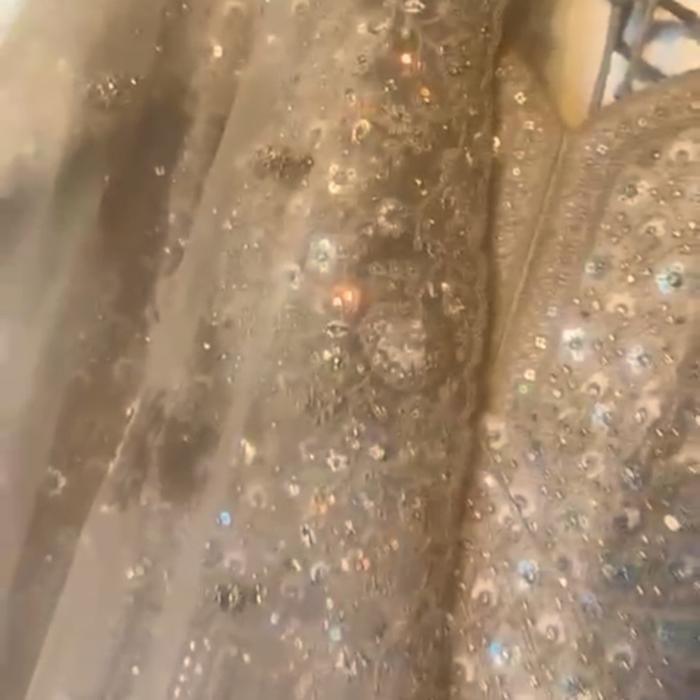 Elegant Silver Embellished gorgeous Punjabi dress - Picture 1 of 2